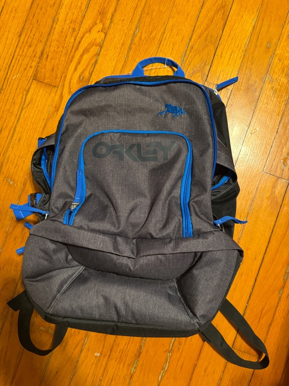 Oakley Men's Gray Backpack with Blue Accents